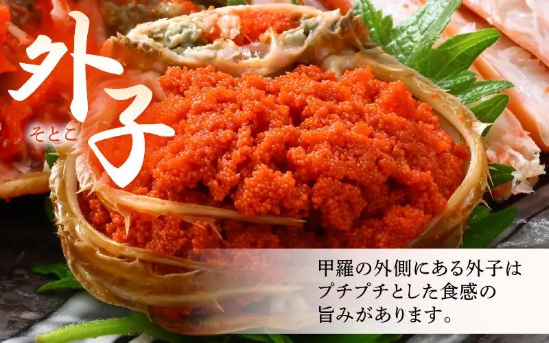 《冷凍》獲れたて!茹でたての 越前せいこがに 小 2杯 越前がに メス せいこがに　[m17-a081]