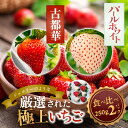 【ふるさと納税】古都華・パールホワイト 250g×各1P／奈良県 苺 先行予約 ジャム 数量限定 期間限定 ブランド 人気 ギフト プレゼント 食べ比べ いちご 白 J-berryグループ「ICHIGO」 前田ストロベリー研究所