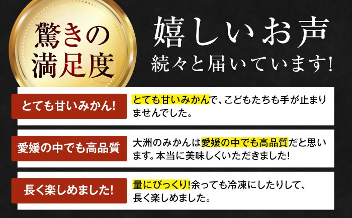 フルーツの代表！愛媛みかん 南柑20号 赤秀10kg箱（100玉～160玉） 