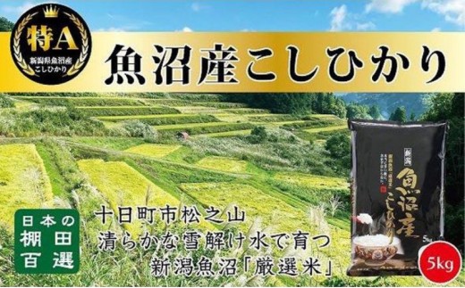 
                  【令和8年産 先行予約】日本棚田百選のお米 天空の里・魚沼産こしひかり ５ｋｇ 白米 安心 安全 こだわり
                