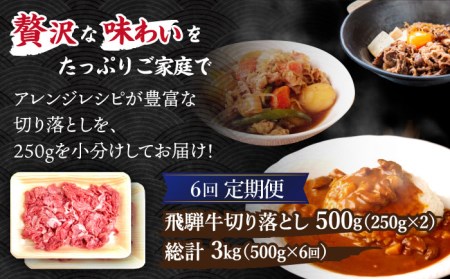 ＼贅沢な味わいをご家庭で／ 【6回定期便】【飛騨牛】切り落とし 総計3kg 〈1回あたり〉500g (250g×2)【肉のひぐち】 国産 ブランド牛 和牛 BBQ キャンプ  [TDC011]