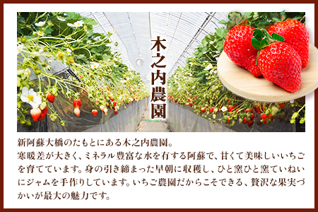 果実ぎっしり！木之内農園の手作りいちごジャム　2kg（1kg×2本）《60日以内に出荷予定(土日祝除く)》 熊本県南阿蘇村 イチゴ 苺 減農薬 大粒