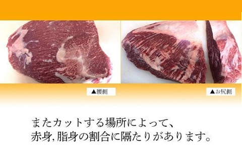 76-57新潟県産牛（長岡産）サーロインステーキ450g＆ランプステーキ2枚（計300g）