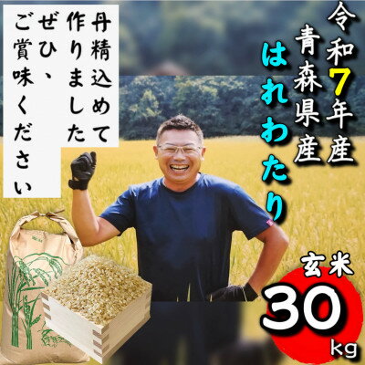 【ふるさと納税】【令和7年産】青森県産はれわたり玄米30kg【配送不可地域：離島・沖縄県】【1678880】
