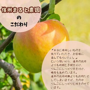 信州まると農園の【訳あり】完熟りんご ぐんま名月 3kg