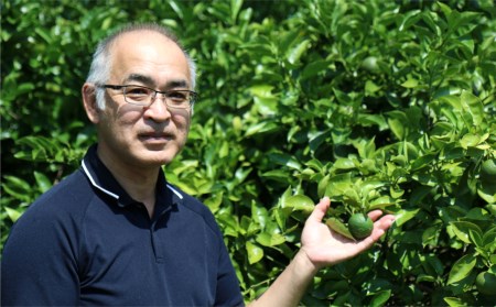 【先行予約】安心安全♪有機JAS認証のかぼす青果（10kg）
