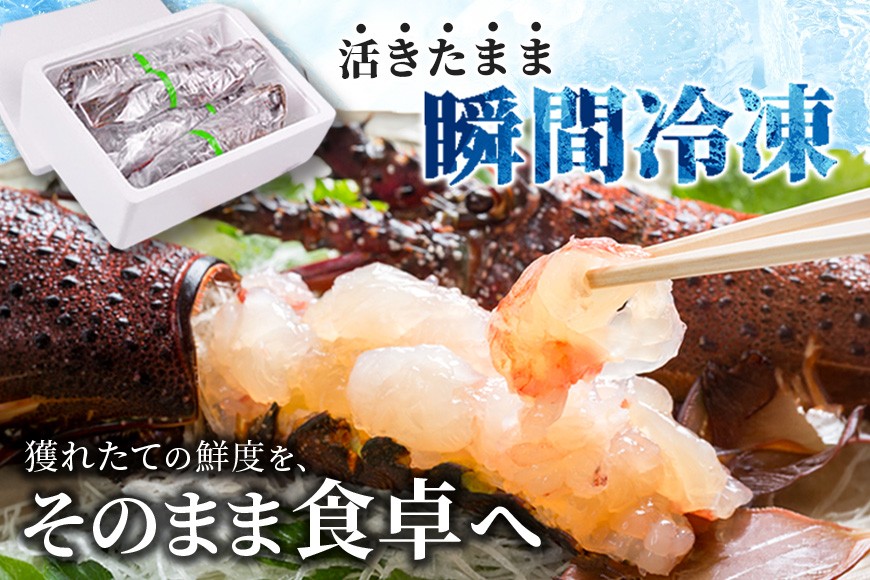 イメージです