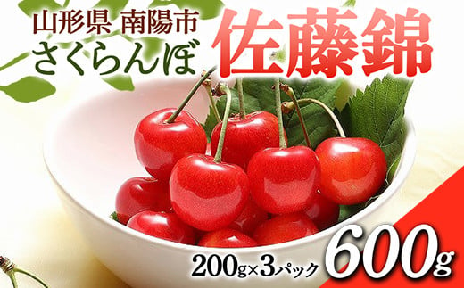 
            【令和7年産先行予約】 さくらんぼ 「佐藤錦」 600g (200g×3パック 秀 L以上) 《令和7年6月中旬～7月中旬発送》 『フードシステムズ』 サクランボ 果物 フルーツ 山形県 南陽市 [1695]
          