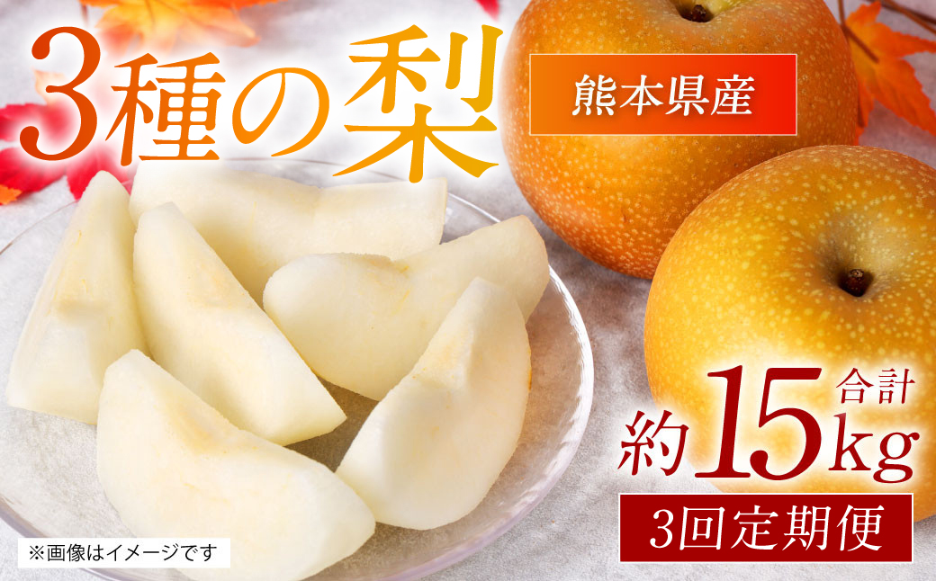 【先行予約】 【定期便3回】 熊本県産 3種の梨の定期便 約5kg ×3回 (計15kg) 【2025年8月下旬より順次発送】