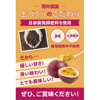 ふるさと納税 奄美市 栽培期間中農薬・化学肥料不使用　奄美パッションフルーツ　家庭用3kg(35個〜40個前後) |  | 02
