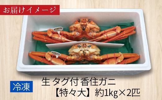 【先行予約】【活〆タグ付き香住ガニ 特々大 約1.0kg×2匹（合計約2.0kg以上）生冷凍】令和7年2月中旬以降順次 カニの本場 香住 鮮度抜群 日本海フーズ 07-114