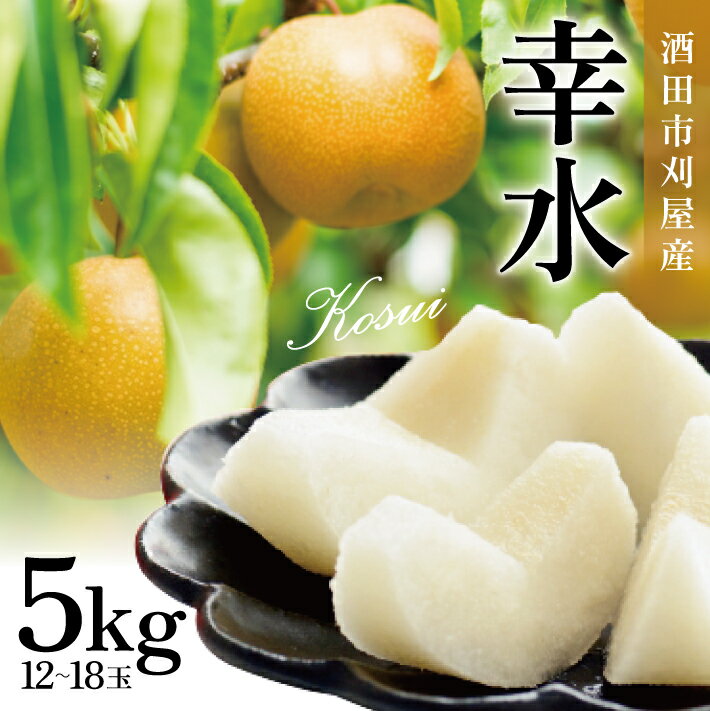 【ふるさと納税】幸水梨 12〜18玉 約5kg 刈屋梨 山形県酒田産 8月下旬〜9月上旬頃お届け ※着日指定不可 和梨 なし 夏 秋 酒田市 東北 果物 フルーツ
