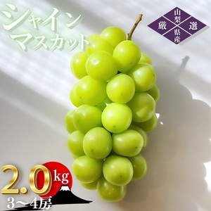 【2026年発送★先行予約】笛吹市産　厳選シャインマスカット［2.0kg］（3～4房）フルーツ大国！山梨県笛吹市より産地直送 209-005-26y OUTTA REACH JAPAN