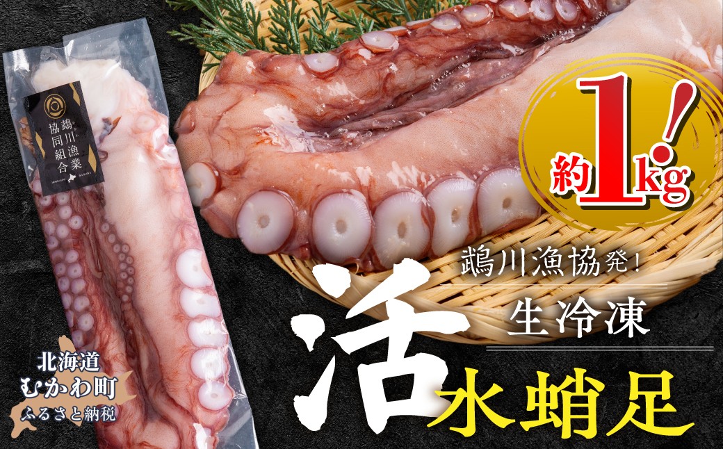 
                  鵡川漁協発！活水蛸足生冷凍（約1kg）  【 ふるさと納税 人気 おすすめ ランキング たこ 水蛸 蛸 タコ刺身 水だこ 刺身用 魚介 海鮮グルメ 新鮮海産物 北海道 むかわ町 送料無料 】 MKWV004
                