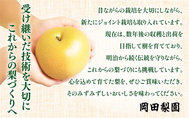 【先行予約】福島県いわき市産 梨(豊水) 約5kg | 梨 豊水 いわき市産 岡田梨園 約5kg 先行予約 期間限定 果物 フルーツ 和梨 国産 新鮮 産地直送 甘い 濃厚果汁 ジューシー 瑞々しい 