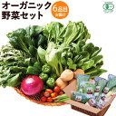 【ふるさと納税】有機JAS認証 ohana本舗厳選オーガニック野菜セット 6品目 野菜 セット 詰め合わせ おまかせ 大分県産 九州産 国産 冷蔵 送料無料