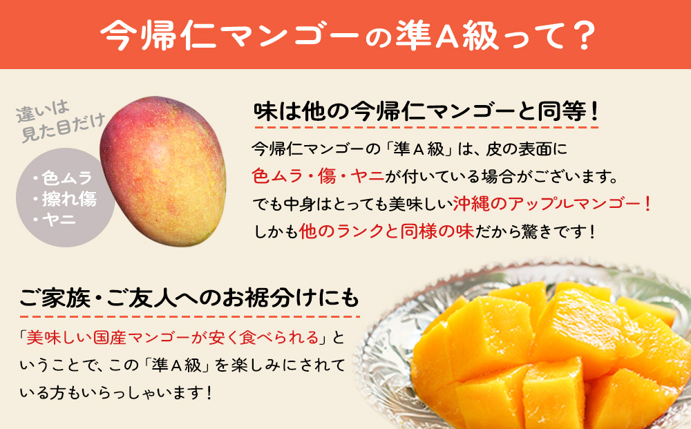 今帰仁マンゴー準A級１kg【先行予約】【2025年6月中旬～7月頃発送】生産者直送