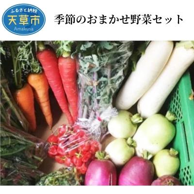 ふるさと納税 天草市 季節のおまかせ野菜セット_S096-002A