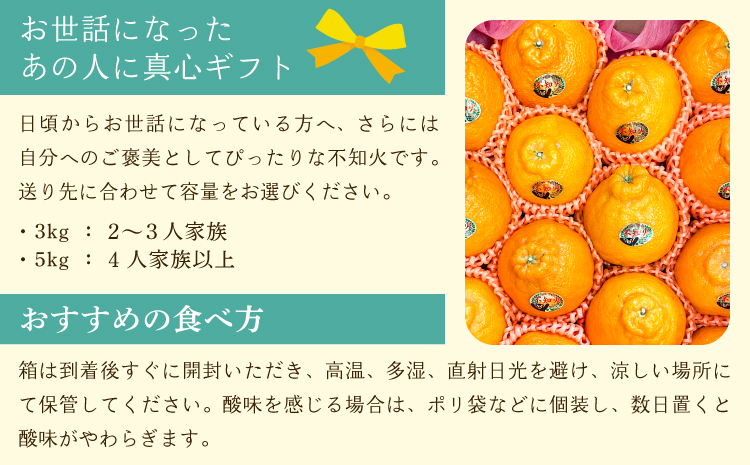 先行予約 不知火 しらぬい 柑橘 みかん ミカン 蜜柑 5kg 約15〜20玉 果物 くだもの フルーツ 九州産 熊本県産 宇城市産 国産 雑誌 MORE 掲載商品 松川果樹園 2026年3月上旬から
