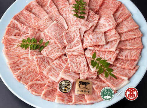 【ふるさと納税】【皆生菊乃家】鳥取和牛 A4ランク以上 サーロイン焼肉用 800g（大山ブランド会）【88-CE7】肉 和牛 牛肉 国産 鳥取県産 焼き肉 ヤキニク お取り寄せ グルメ 鳥取県 米子市 送料無料
