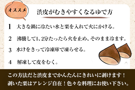 生栗 先行予約  約2kg(2L-Lサイズ) ｜栗くり栗栗くり栗栗くり栗