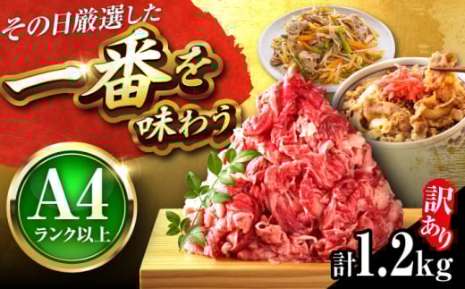 【訳あり】【A4~A5】博多和牛 切り落とし 1.2kg (600g×2パック) 吉富町/株式会社MEAT PLUS [BGAB055] 国産 和牛 ブランド牛 切り落とし 赤身 小分け きりおとし 国産牛 切りおとし 訳アリ わけあり 福岡 おすすめ
