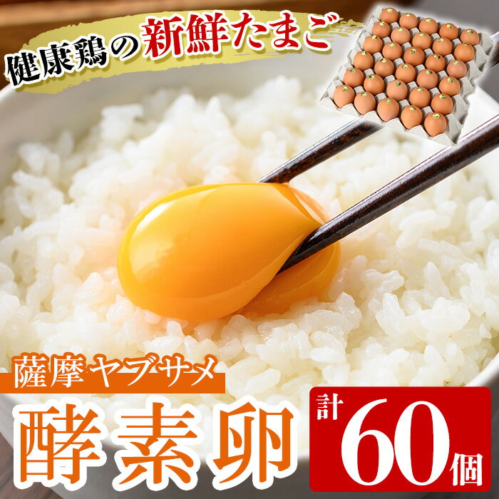 薩摩ヤブサメ酵素卵(60個)本来のたまごの味にこだわったタマゴ！【ヤブサメファーム】