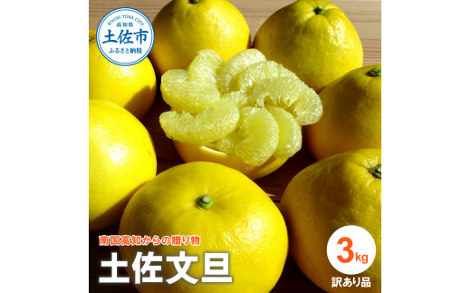 『南国高知からの贈り物』土佐文旦 【訳あり（家庭用）】3kg 5玉～7玉入