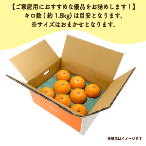【2026年11月中旬頃から発送予定】愛果28号 (紅まどんな と同品種) 家庭用(優品) 約1.8kg  |  愛媛産 愛媛県産 国産 愛媛みかん 愛媛蜜柑 愛媛ミカン みかん ミカン mikan 