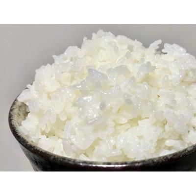 ふるさと納税 八代市 【新米 令和7年産】鶴喰米 精米(くまさんの輝き) 10kg