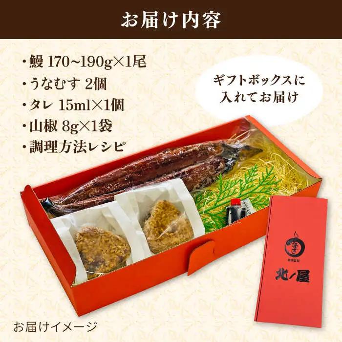 蒲焼き 1尾 うなむす 2個 うなぎ 詰め合わせ  [ACL006] 鰻 うなぎ かばやき おにぎり
