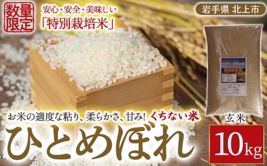 【 令和7年産 】北上産 くちない米（ 特別栽培米 ひとめぼれ 玄米 ）10kg 岩手県 北上市 F0143 国産 東北 岩手 米 お米 ご飯 こめ 10キロ 2025年 R7年 産直 あぐり夢くちない
