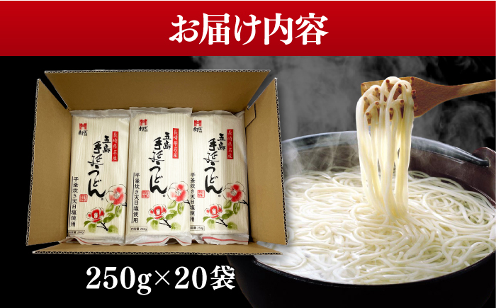 【人気商品の大容量◎】 五島手延うどん 250g×20袋 大容量 業務用 常備用 【ますだ製麺】 [RAM027]