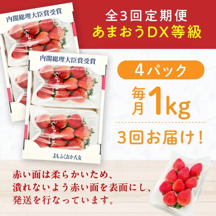 【3回定期便】いちご（あまおう）2ケース / いちご 苺 イチゴ[AFAB081]