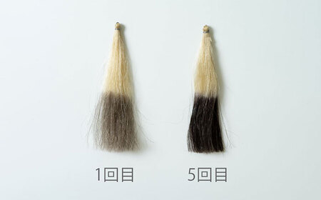 ヘアカラートリートメント 3点セット ダークブラウン 瑞浪市 / 生活の木 瑞浪ファクトリー直送 シャンプー ヘアケア [AZBE028]