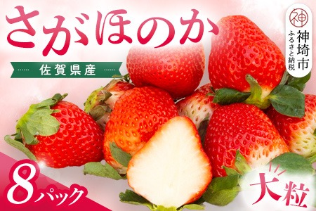 【先行受付 令和9年1月より発送】佐賀県産『さがほのか』8Pセット【いちご 苺 イチゴ 大粒 果物 フルーツ デザート ふるさと納税】(H108104)