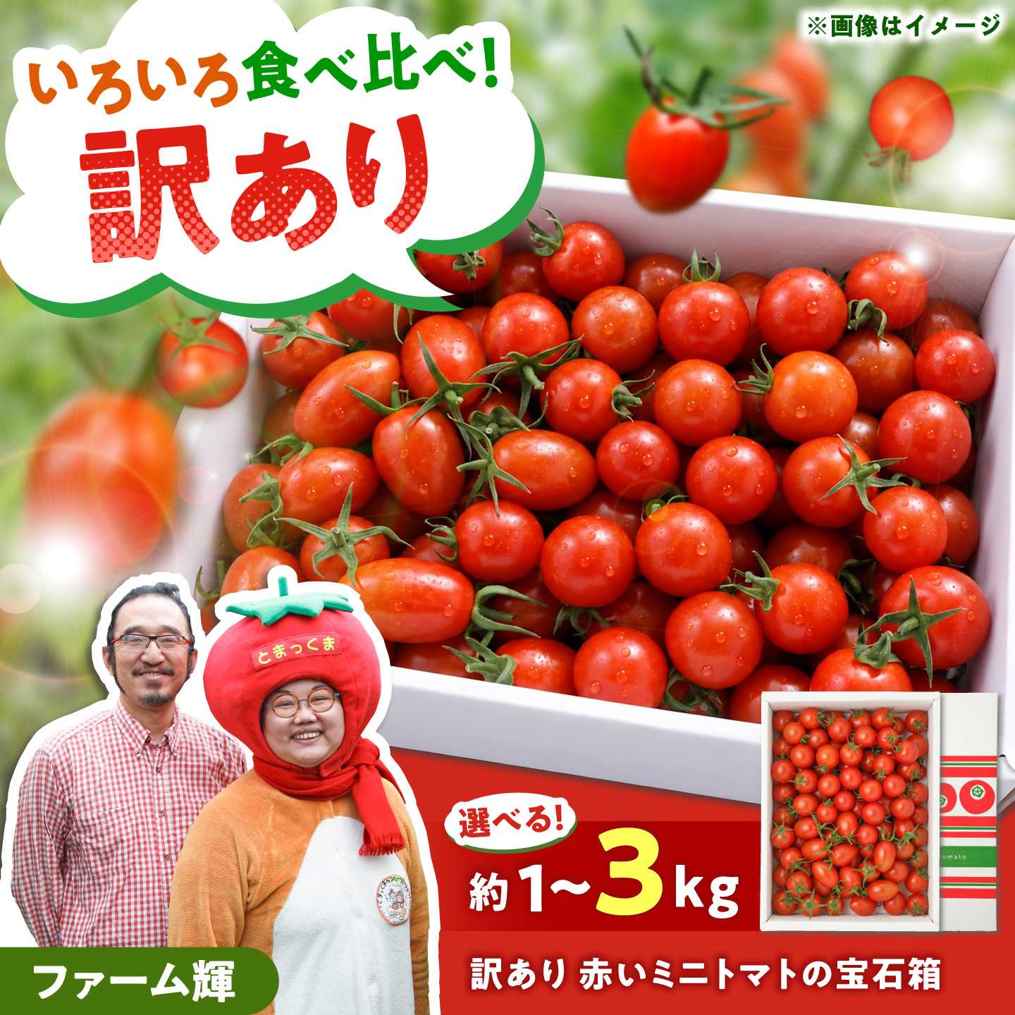 【ふるさと納税】【訳あり】【選べる内容量】【先行予約】訳あり 赤いミニトマトの宝石箱 約1キロ〜3キロ 約1〜3kg いろいろな品種を気軽に楽しめる食べ比べセット〈2026年11月下旬〜2027年5月下旬まで〉 トマト とまと ミックス セット 高知県土佐市/ファーム輝[BQBM009]