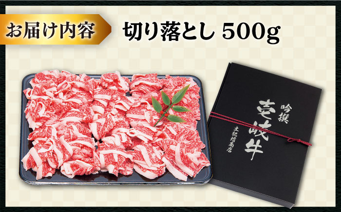 壱岐牛 切り落とし 500g《壱岐市》【土肥増商店】[JDD002] 肉 牛肉 和牛 切落し 赤身 小間切れ のし ギフト プレゼント 13000 13000円