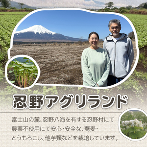 富士北麓忍野村産　石臼挽きそば粉（300g）農薬不使用