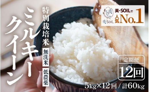 【先行予約】【令和7年産 新米】《定期便》5kg×12回 60kg 特別栽培米 ミルキークイーン 無洗米 低農薬 《食味値85点以上！こだわり無洗米》 / 福井県 あわら市 北陸 米 お米 人気 白米 精米 ※2025年9月下旬より順次発送 [aw032-n002]