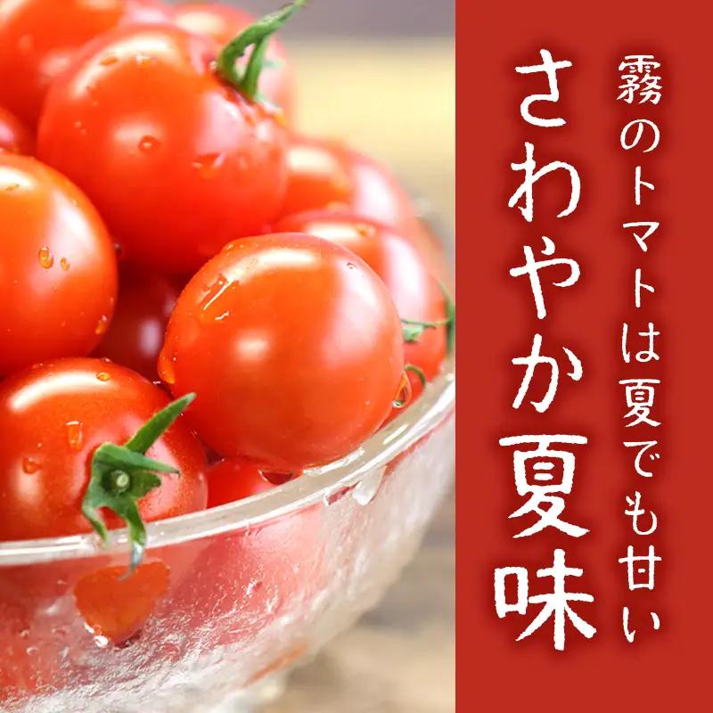 【霧で育てた濃厚な味】霧のトマトSummer 200ｇ×12パック（16-18）