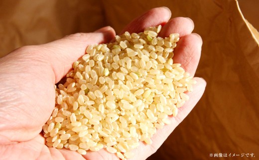 岡山県産きぬむすめ早炊き玄米10kg（2kg×5袋）