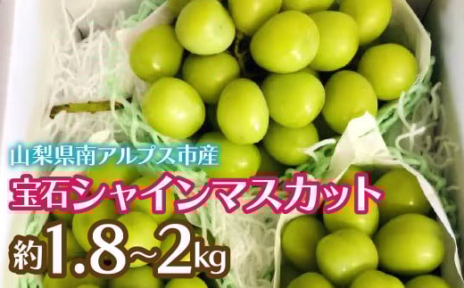 ＜2026年発送先行予約＞完熟 宝石シャインマスカット約1.8～2kg ALPCZ007