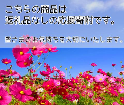 【返礼品なし】福岡県築上町応援寄附金（1口10,000円）