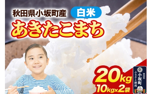 【白米】あきたこまち 20kg（10kg×2袋）令和7年産 精米 中村農園 [あきたこまち 米 お米 こめ 白米 精米 ブランド米 食卓 おにぎり 秋田]