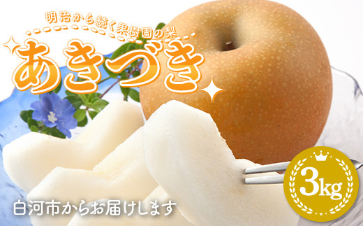 【2026年出荷分先行予約】明治から続く果樹園の梨「あきづき」3kg（玉数おまかせ） なし 果物 くだもの デザート ギフト ナシ 甘い フルーツ 福島県 白河市 F24R-219