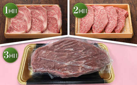 【全3回定期便】【数量限定】【GI認証】くまもとあか牛 食べ比べF / 菊陽町 あかうし 熊本県 肉 にく niku ブランド 旨み 【有限会社 三協畜産】[BHAS031]