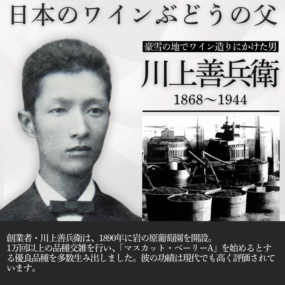 ワイン 岩の原ワイン ハーフサイズ 12本セット（ 赤×4本、白×4本、ロゼ×4本 各360ml） 酒 ギフト 新潟 上越 最短3日で発送