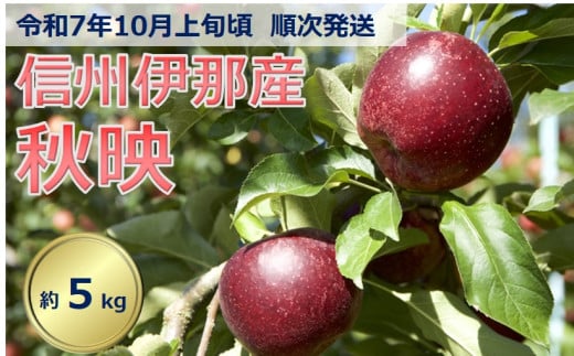 【012-13】令和7年10月上旬ごろ発送　信州の秋映　5キロ！　信濃三兄弟の一つ（りんご・リンゴ・林檎）