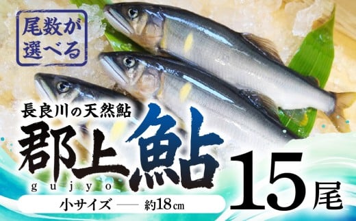 【尾数が選べる】郡上鮎 長良川の天然鮎 小サイズ(約18ｃｍ) 15尾/ 食品 魚介類 水産加工品 その他水産物 鮎 アユ 20000円 G0075d